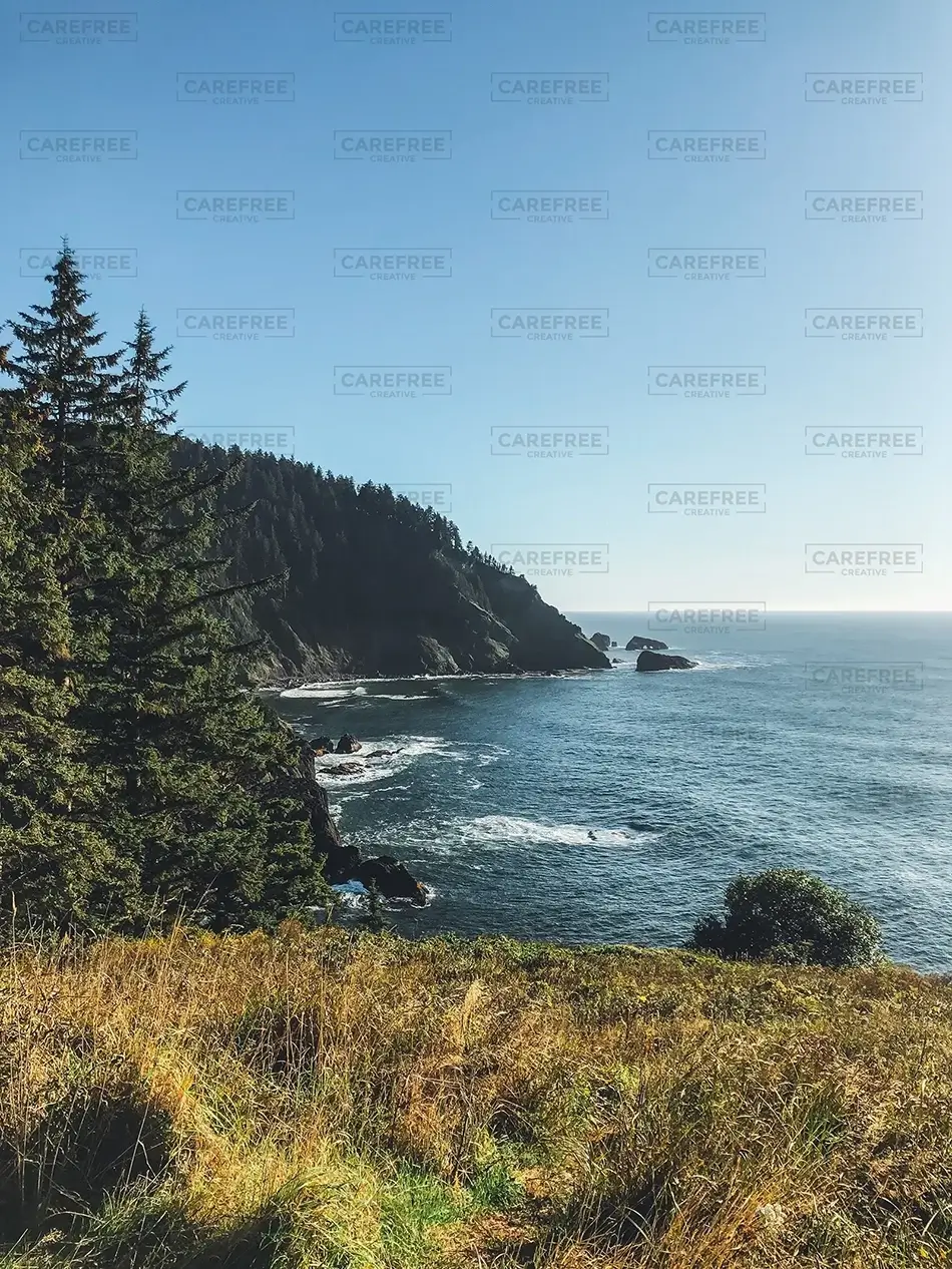 Hart’s Cove Natural Coastline, Harts Cove, Oregon · United States