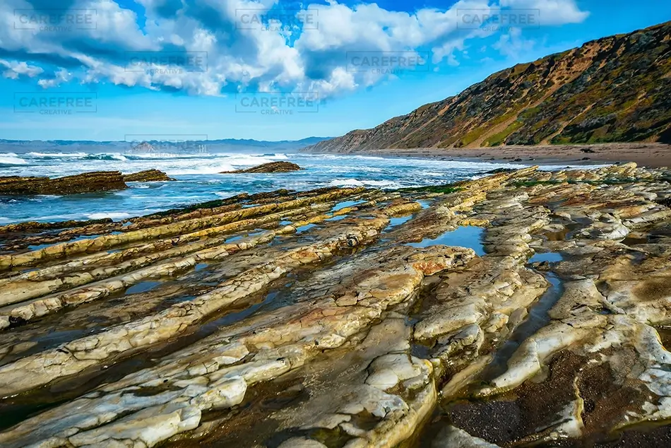 Hazard Reef Rocky Coastal Tide Pools, Los Osos, California · United States