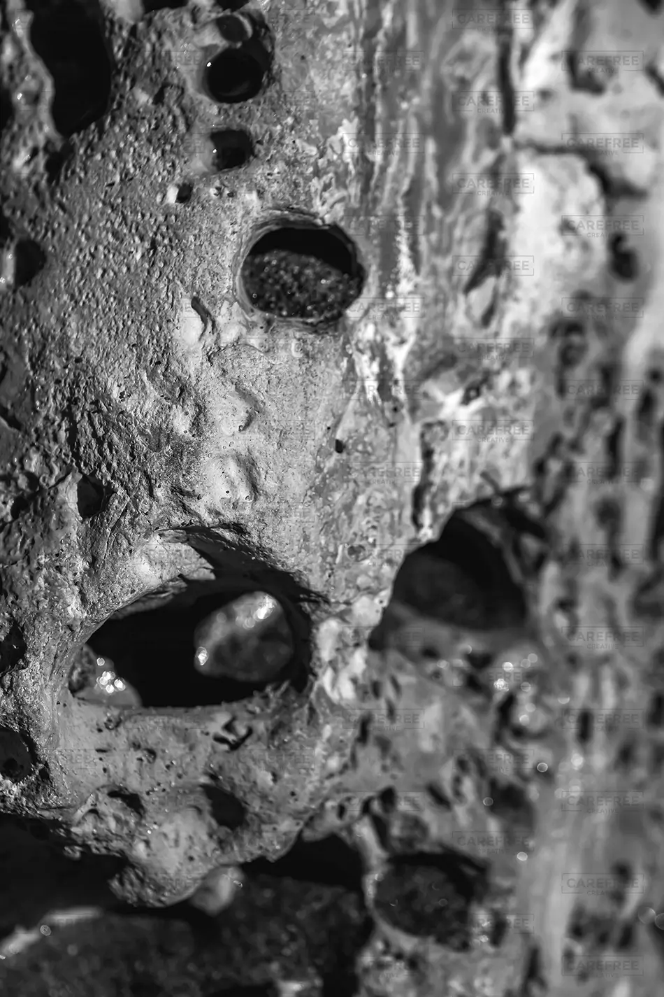 Hazard Reef Weathered Rock Holes, Los Osos, California · United States