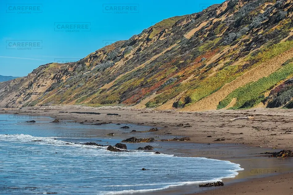 Hazard Reef Coastal Cliffs Beach, Los Osos, California · United States