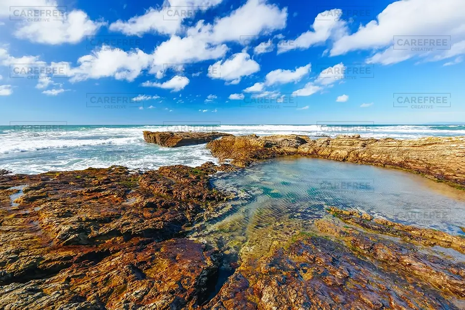 Hazard Reef Coastal Tide Pool, Los Osos, California · United States
