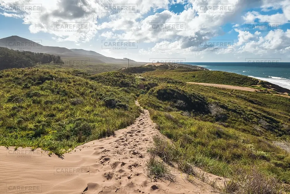 Hazard Reef Sandy Coastal Trail, Los Osos, California · United States