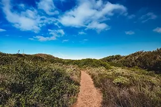Hazard Reef Dirt Trail Through Coastal Scrub, Los Osos, California