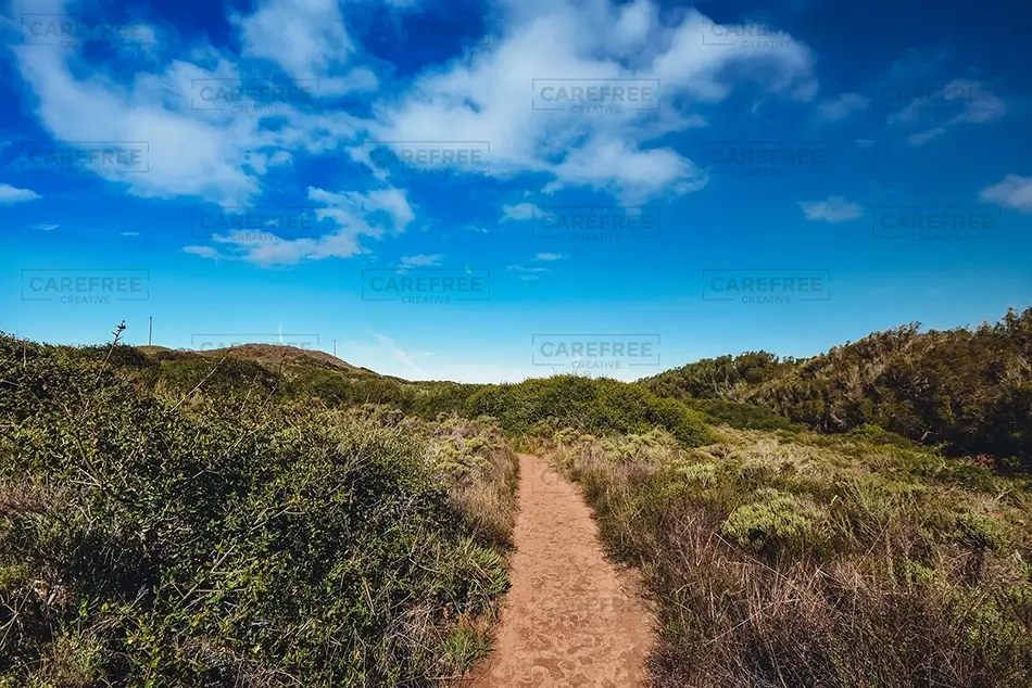 Hazard Reef Dirt Trail Through Coastal Scrub, Los Osos, California · United States