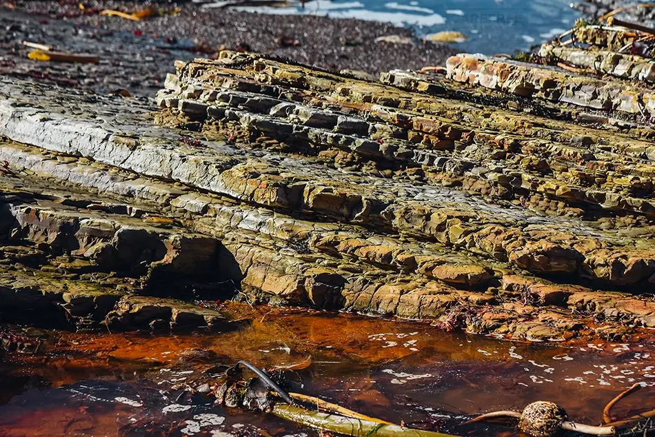 Hazard Reef Layered Coastal Rocks, Los Osos, California · United States