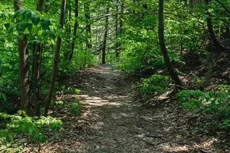 High Falls Conservation Forest Pathway, Hudson, New York
