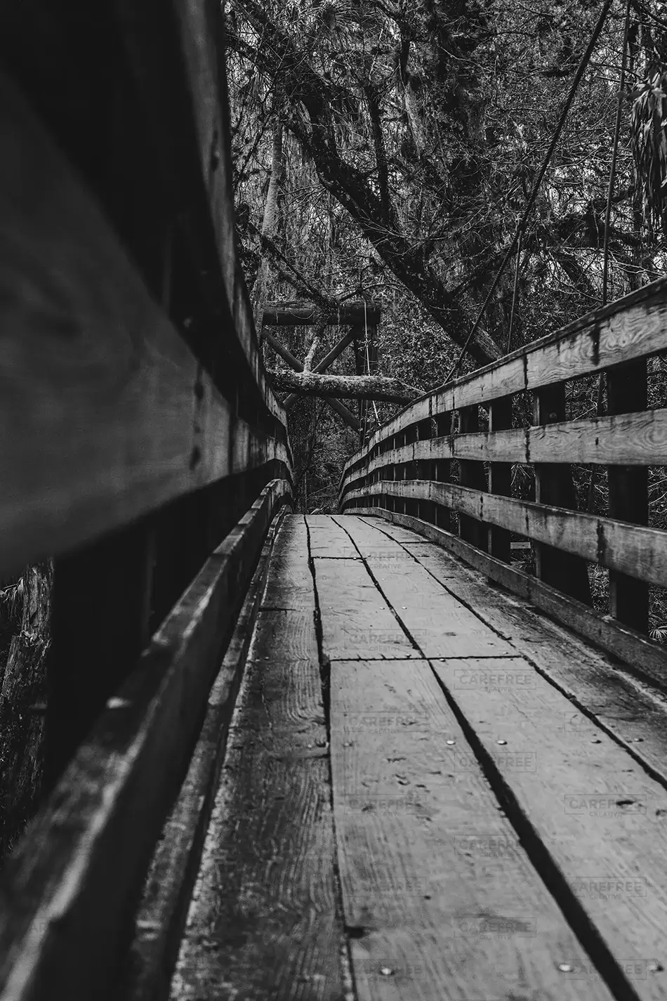 Hillsborough River State Park Boardwalk