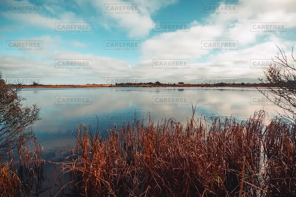 Huntington Beach State Park Tranquil Lake Reeds, Murrells Inlet, South Carolina · United States