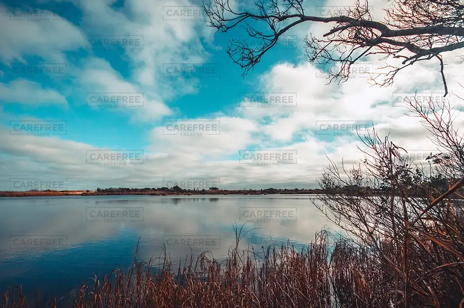 Huntington Beach State Park Tranquil Lake Reflection, Murrells Inlet, South Carolina · United States