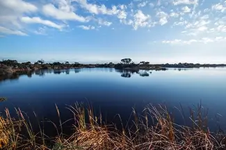 Huntington Beach State Park Tranquil Lake Reflection, Murrells Inlet, South Carolina