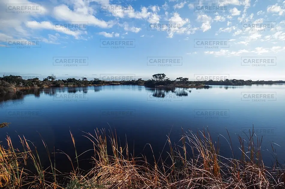 Huntington Beach State Park Calm Wetland Reflections, Murrells Inlet, South Carolina · United States