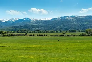 Idaho Green Meadow and Snowy Range, Idaho