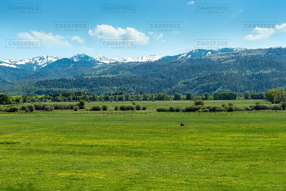 Idaho Green Meadow and Snowy Range, Idaho · United States