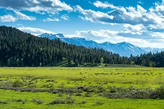 Idaho Snowcapped Mountain Meadow, Idaho