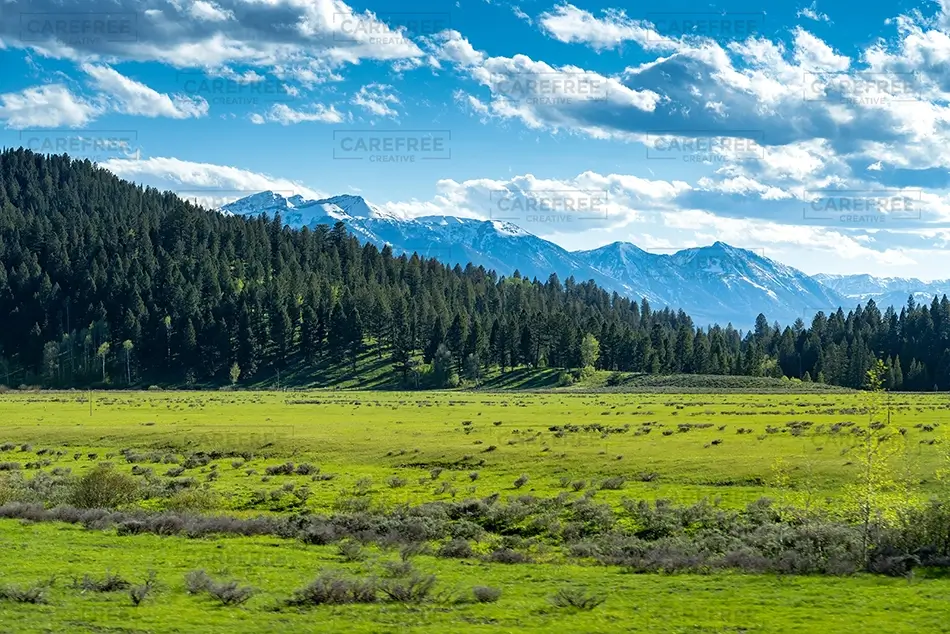 Idaho Snowcapped Mountain Meadow, Idaho · United States