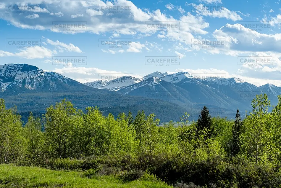 Idaho Sawtooth Peaks Beyond the Trees, Idaho · United States