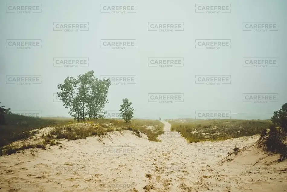 Indiana Dunes National Park Misty Path To The Ocean