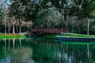 Kelly Park Rock Springs Serene Picnic Spot, Apopka, Florida