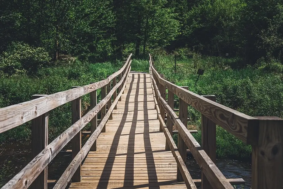 Kinzua Bridge State Park Wooden Footbridge Through Forest, Mt Jewett, Pennsylvania · United States