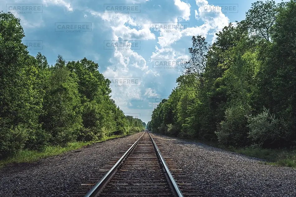 Kinzua Bridge State Park Railroad Tracks Through Forest, Mt Jewett, Pennsylvania · United States
