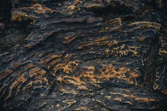 Kootenai Falls Suspension Bridge Weathered Rock Texture