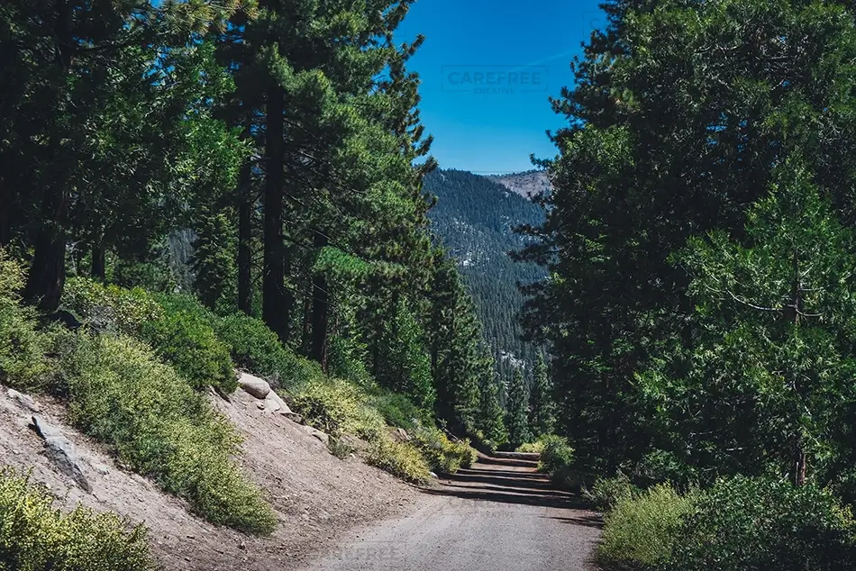 Lake Tahoe Scenic Forest Trail Pathway, South Lake Tahoe, California · United States