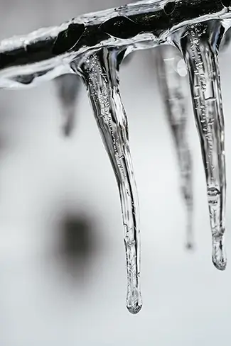 Laurel Hill Cemetery Icicles on Winter Branches, Saco, Maine