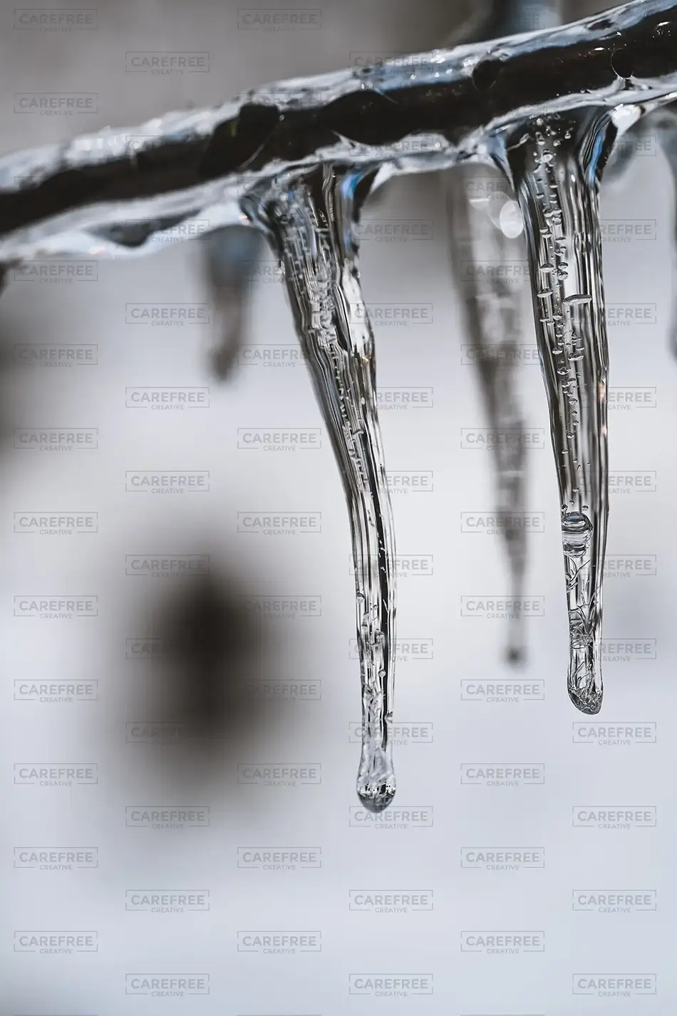Laurel Hill Cemetery Frozen Icicle Drip, Saco, Maine · United States