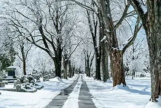 Laurel Hill Cemetery Solitude and Snow, Saco, Maine