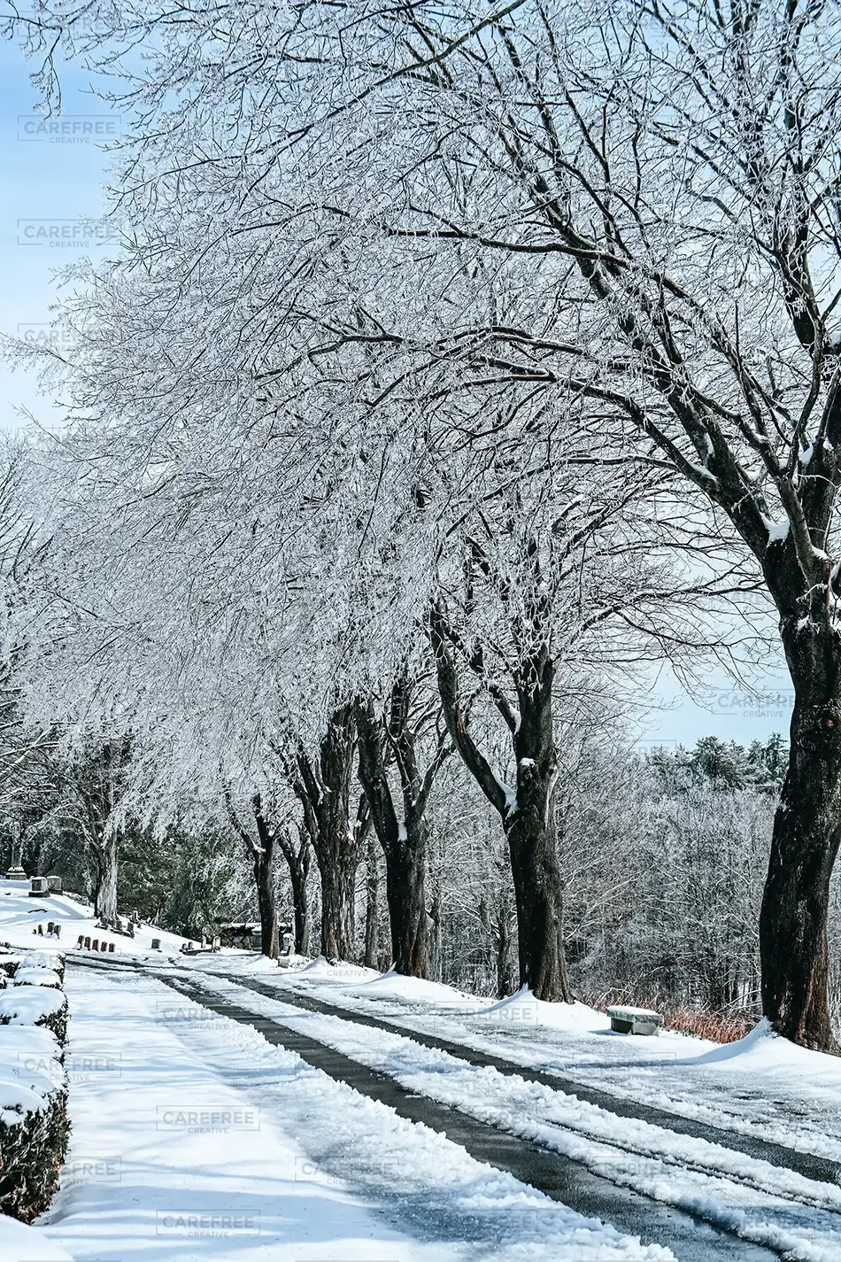 Laurel Hill Cemetery Frosted Tranquility, Saco, Maine · United States