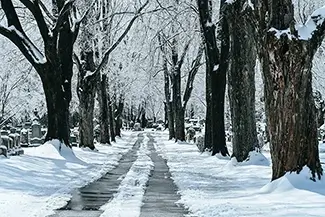 Laurel Hill Cemetery Snowy Cemetery Avenue, Saco, Maine