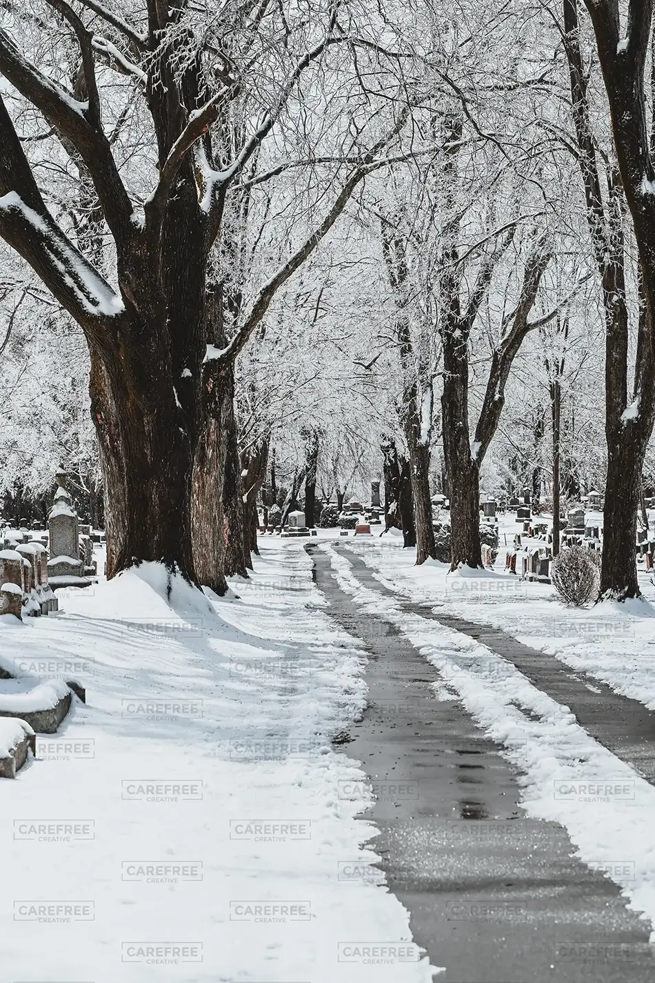 Laurel Hill Cemetery Wintery Pathway Through the Graves, Saco, Maine · United States