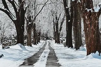 Laurel Hill Cemetery Blanketed Promenade, Saco, Maine