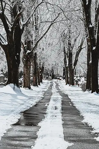 Winter
