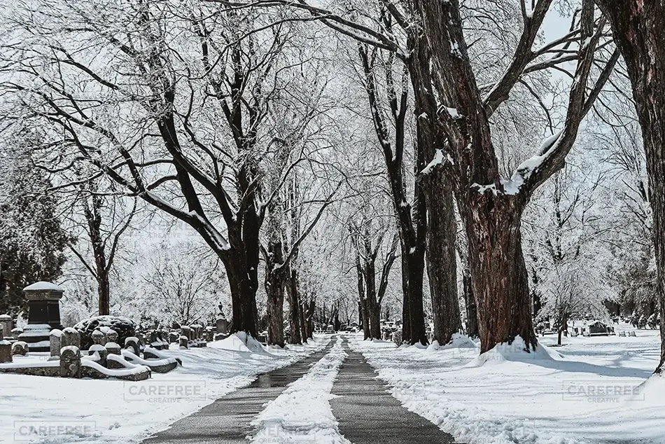 Laurel Hill Cemetery Snow Laden Path, Saco, Maine · United States
