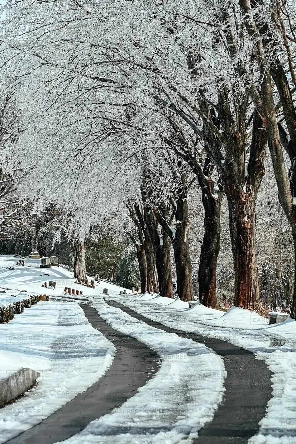 Laurel Hill Cemetery Curved Winter Road, Saco, Maine · United States