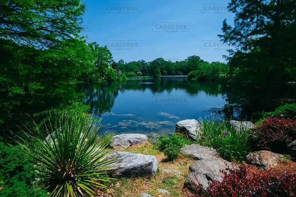 Lewis Ginter Botanical Garden Idyllic Pond, Henrico, Virginia · United States