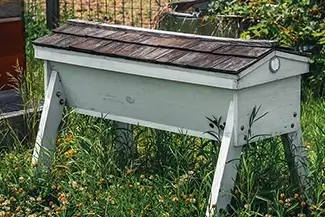 Lewis Ginter Botanical Garden Beehive Display, Henrico, Virginia