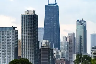 Lincoln Park Conservatory Chicago Skyline Skyscrapers