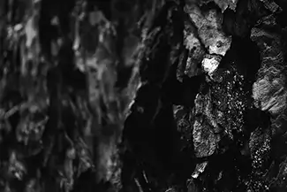 Little Zigzag Falls Wooden Texture Noir, Mt Hood, Oregon