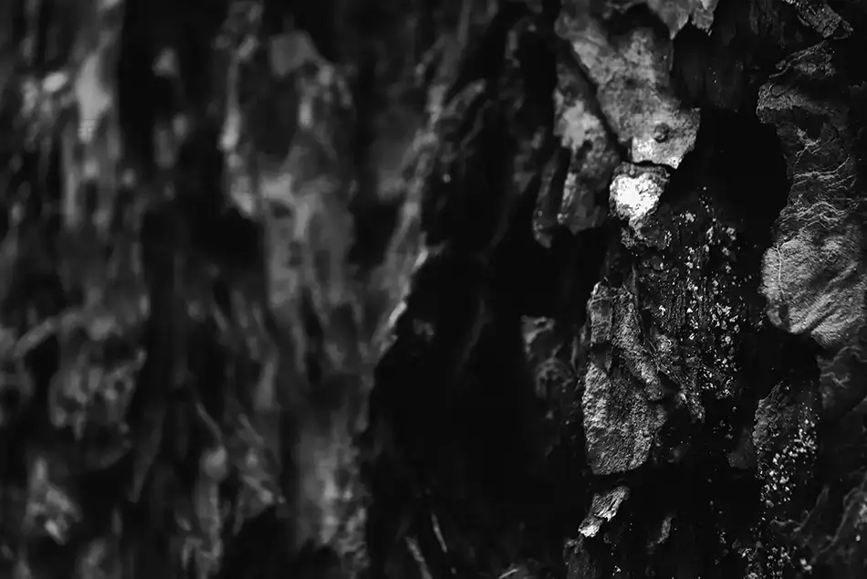 Little Zigzag Falls Wooden Texture Noir