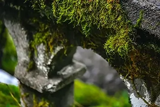 Little Zigzag Falls Mossy Stone, Mt Hood, Oregon