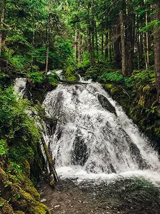 Little Zigzag Falls Gentle Cascade, Mt Hood, Oregon