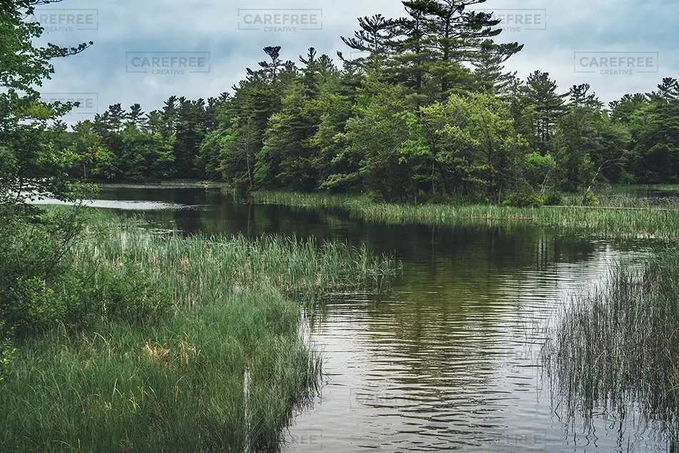 Ludington State Park Tranquil Marshland Lake, Ludington, Michigan · United States