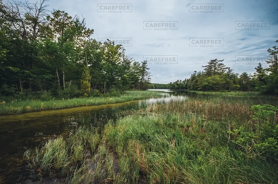 Ludington State Park Marshy River Wetland, Ludington, Michigan · United States
