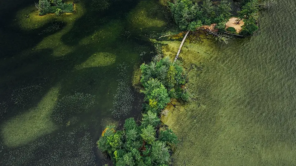 Ludington State Park Aerial Forested Shoreline, Ludington, Michigan · United States