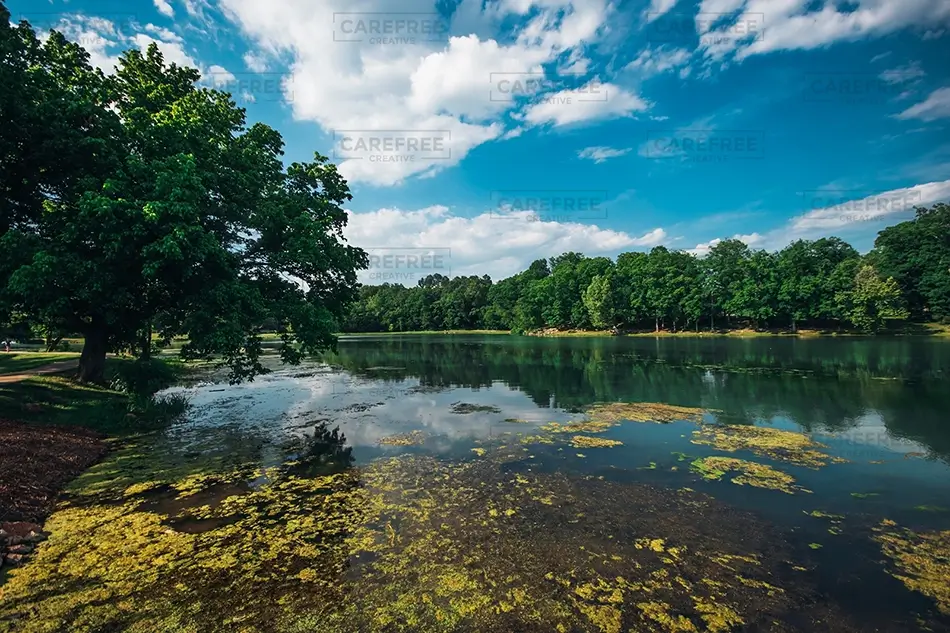 Mammoth Spring State Park Tranquil Lake Reflections, Mammouth Spring, Arkansas · United States