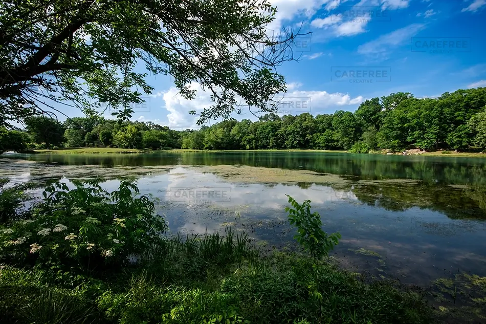 Mammoth Spring State Park Tranquil Reflective Lake, Mammouth Spring, Arkansas · United States