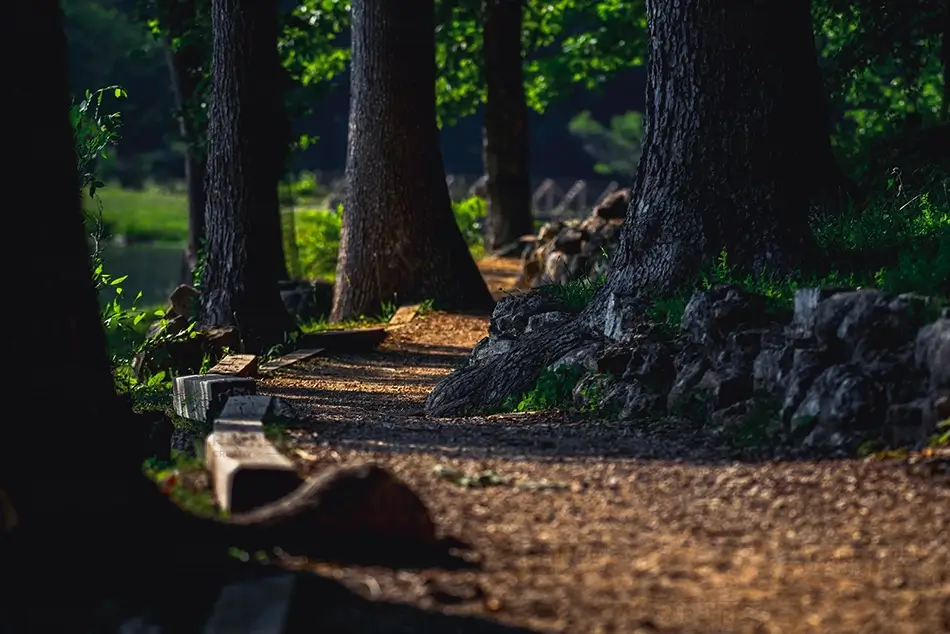 Mammoth Spring State Park Sunlit Forest Path, Mammouth Spring, Arkansas · United States