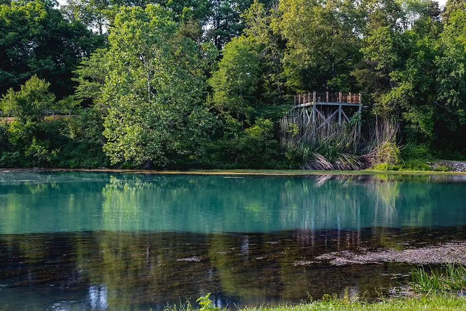 Mammoth Spring State Park Turquoise Pond Reflection, Mammouth Spring, Arkansas · United States